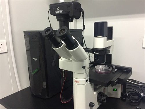 2016年11月 徠卡倒置顯微鏡DMIL安裝北京生命醫藥園(亦莊)2