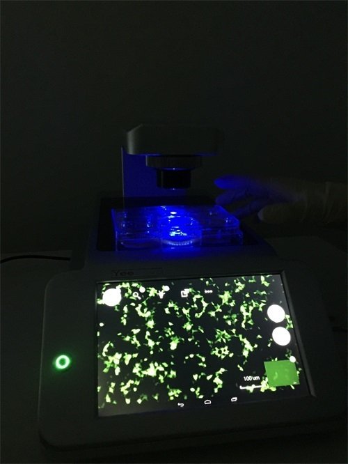 2016年11月 智能細(xì)胞成像系統(tǒng)安裝于清華大學(xué)3