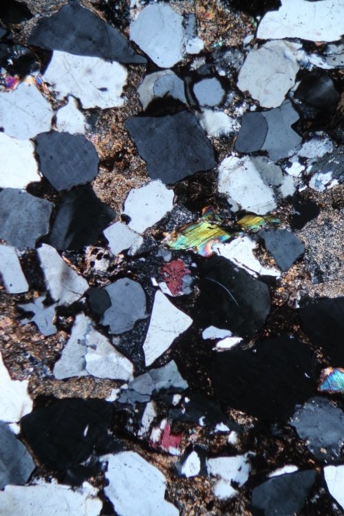 2016年9月12日 UPT-LV320偏光顯微鏡安裝于中國礦業大學3