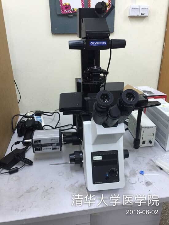 2016年6月奧林巴斯倒置熒光顯微鏡安裝于清華大學(xué)2