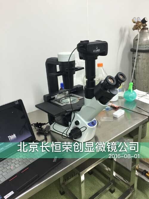 2016年奧林巴斯CKX53顯微鏡安裝于華北制藥1