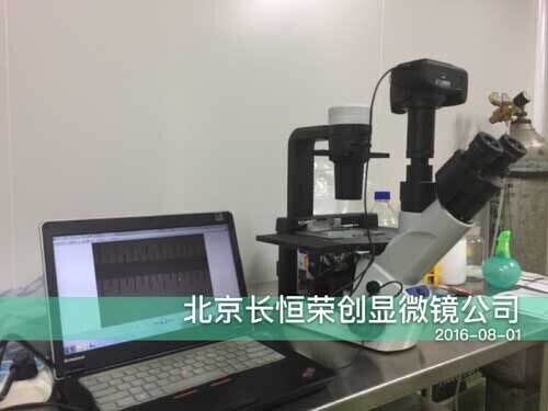 2016年奧林巴斯CKX53顯微鏡安裝于華北制藥5