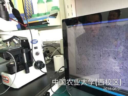 2016年6月精子分析軟件安裝于中國農業大學生科院2