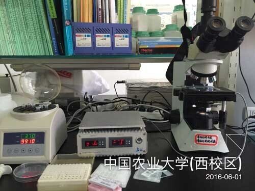 2016年6月精子分析軟件安裝于中國農業大學生科院1