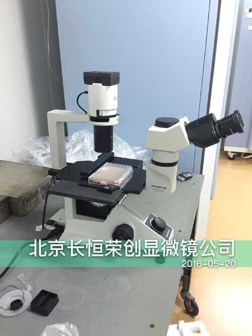 2016年5月奧林巴斯CKX41顯微鏡安裝于中國科學院動物研究所3