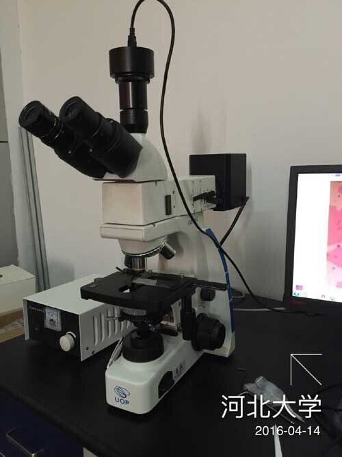 2016年4月河北大學(xué)選購我公司正置金相顯微鏡UMT-LV320!2