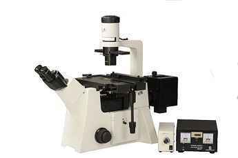 2013年倒置熒光顯微鏡DSY-L140被三峽大學在此購買!!