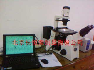 2013年倒置熒光顯微鏡DSY-L140被三峽大學在此購買!!3