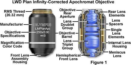 奧林巴斯物鏡 奧林巴斯物鏡