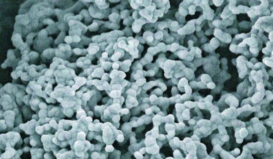 金相顯微鏡拍攝效果圖