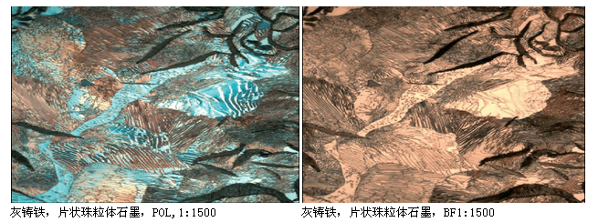 徠卡 DMI5000M倒置金相顯微鏡--444