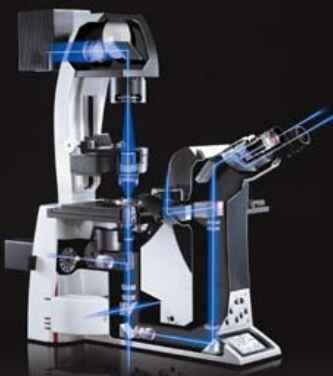 徠卡倒置顯微鏡DMI4000 徠卡倒置顯微鏡DMI4000