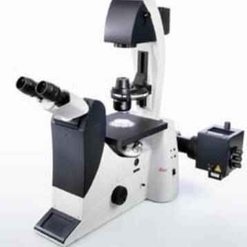 徠卡倒置顯微鏡DMI3000 徠卡倒置顯微鏡DMI3000