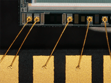 尼康體視顯微鏡SMZ800N-10