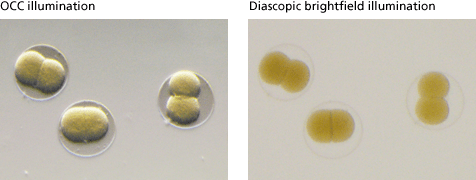 smz1270 dia smz1270 dia