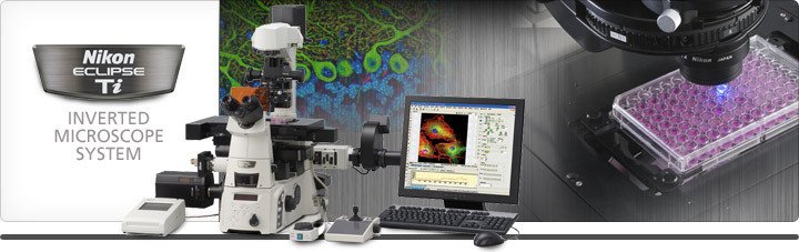 倒置尼康顯微鏡1 倒置尼康顯微鏡1