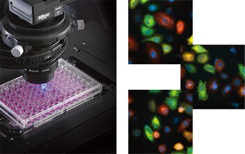 ECLIPSE Ti-E-TI-U倒置尼康顯微鏡4 ECLIPSE Ti-E-TI-U倒置尼康顯微鏡4