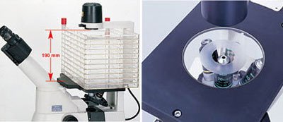 倒置尼康顯微鏡ECLIPSE TS100-TS100-F 倒置尼康顯微鏡ECLIPSE TS100-TS100-F