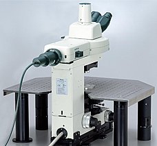 Eclipse FN1電生理顯微鏡-7