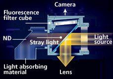 尼康生物顯微鏡10