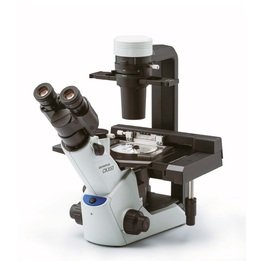 奧林巴斯顯微鏡BX53