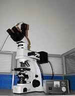 偏光數碼顯微鏡UPT-LV320