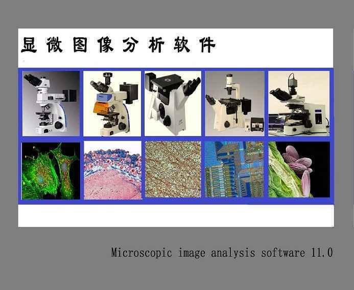Image Analysis System 11顯微鏡圖像分析軟件 Image Analysis System 11顯微鏡圖像分析軟件