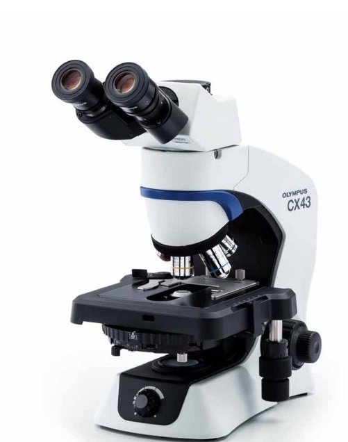 高端定制熒光顯微鏡CX-FL4