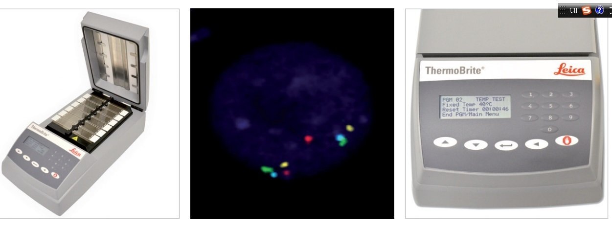 ThermoBrite原位雜交儀 ThermoBrite原位雜交儀