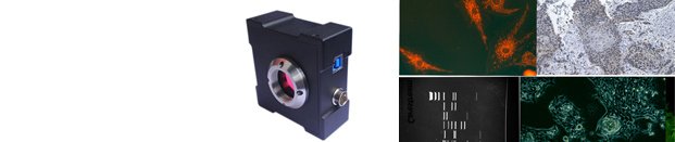 染色體分析成像系統(tǒng)