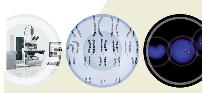 CytoVision工作站 CytoVision工作站