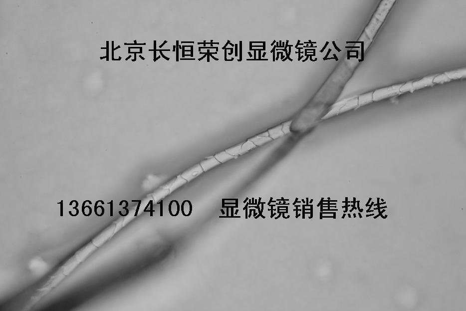 纖維檢測顯微鏡4