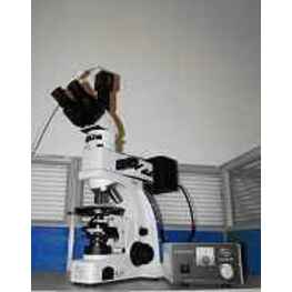 偏光數碼顯微鏡UPT-LV320