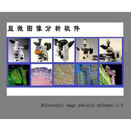 Image Analysis System 11.0圖像分析軟件