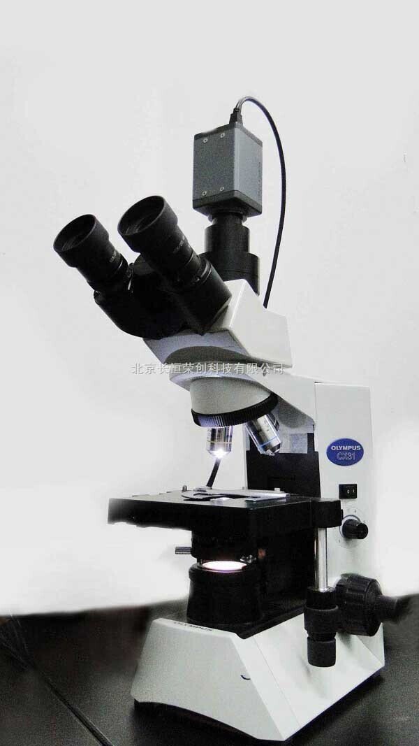 淀粉檢測,淀粉觀察專用顯微鏡 淀粉檢測,淀粉觀察專用顯微鏡