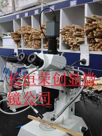 木材細胞觀察奧林巴斯顯微鏡2