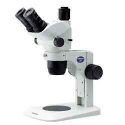 動物胚胎解剖觀察奧林巴斯顯微鏡 動物胚胎解剖觀察奧林巴斯顯微鏡