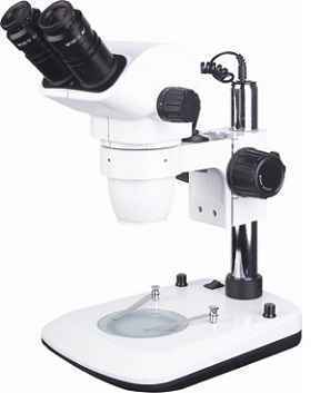 動物胚胎解剖觀察國產(chǎn)顯微鏡 動物胚胎解剖觀察國產(chǎn)顯微鏡
