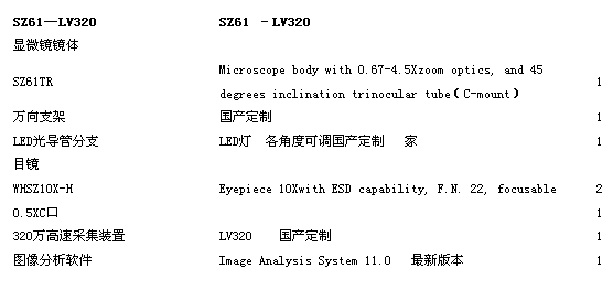 99999999999 99999999999