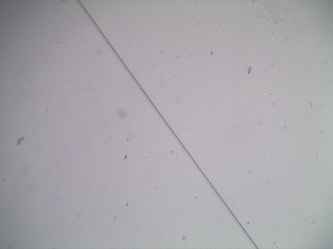 薄膜（塑料凳多種材質）表面劃痕觀察顯微鏡2