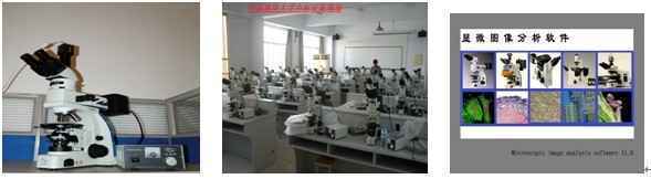 薄膜材質(zhì)觀察檢驗(yàn)顯微鏡1 薄膜材質(zhì)觀察檢驗(yàn)顯微鏡1