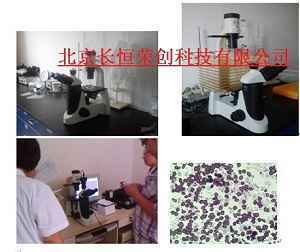 布朗運動觀察顯微鏡（倒置）BX-CV320