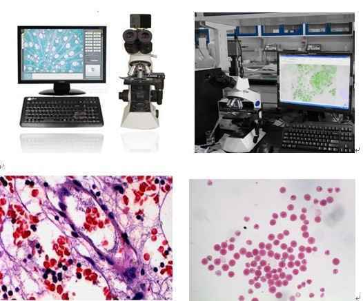 布朗運動觀察奧林巴斯顯微鏡CX21-CV320