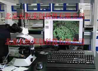 植物葉綠體觀察顯微鏡CX21-CV32022