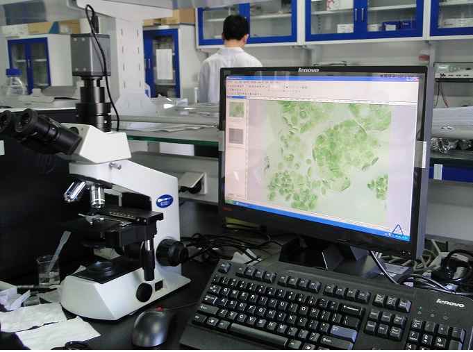 植物葉綠體觀察顯微鏡CX21-CV320 植物葉綠體觀察顯微鏡CX21-CV320