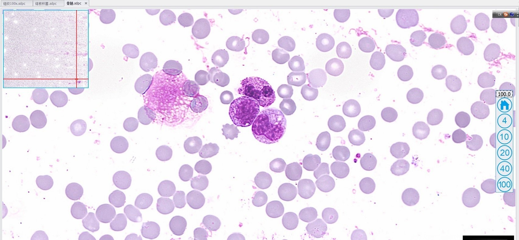 全自動切片掃描儀2