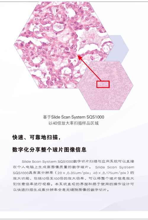 全自動切片掃描儀8