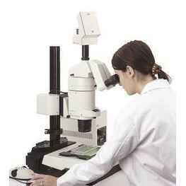 朱墨時序觀察判定體視顯微鏡