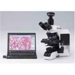 奧林巴斯顯微鏡BX43（相差）