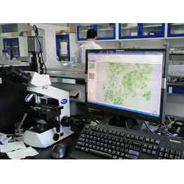 寵物醫院用顯微鏡型號：CX21-TC